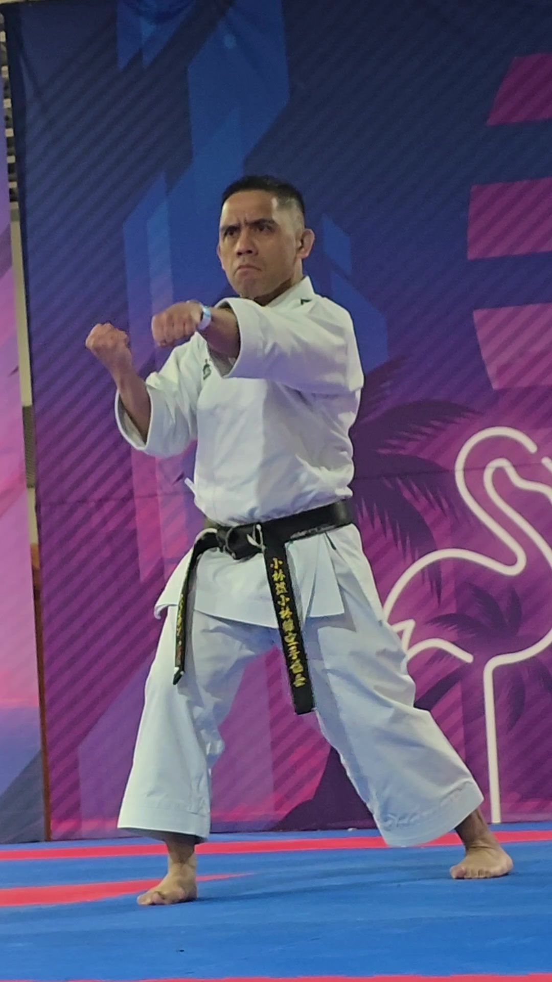 @Point Fighter Live