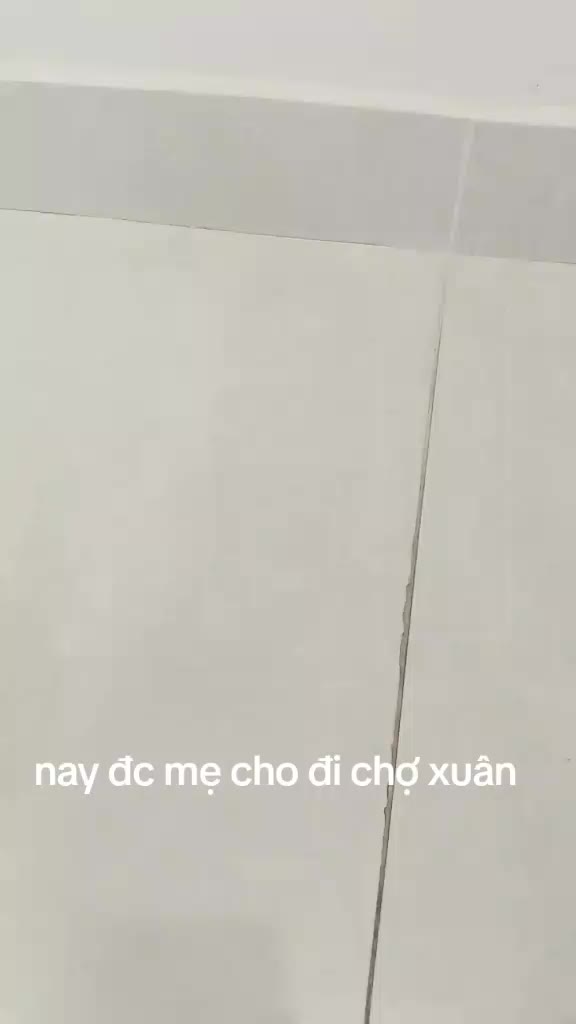 @_Sứa_👽🌷