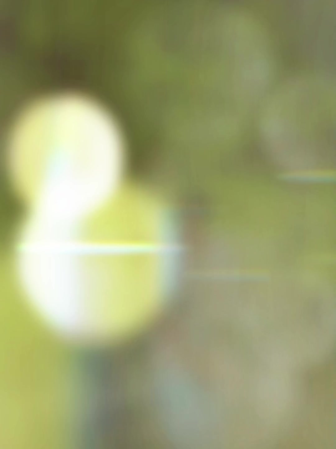 @𝐓 𝐎 𝐍 𝐌 𝐎 𝐘