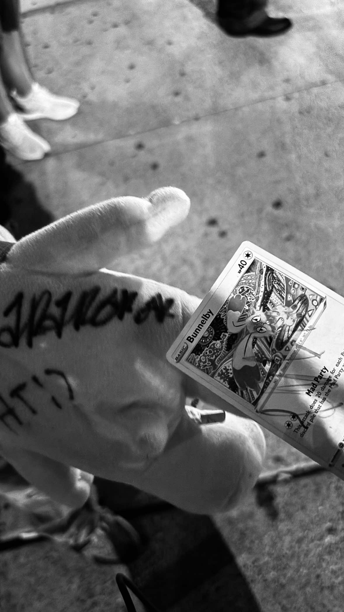 @EDEN M ☆