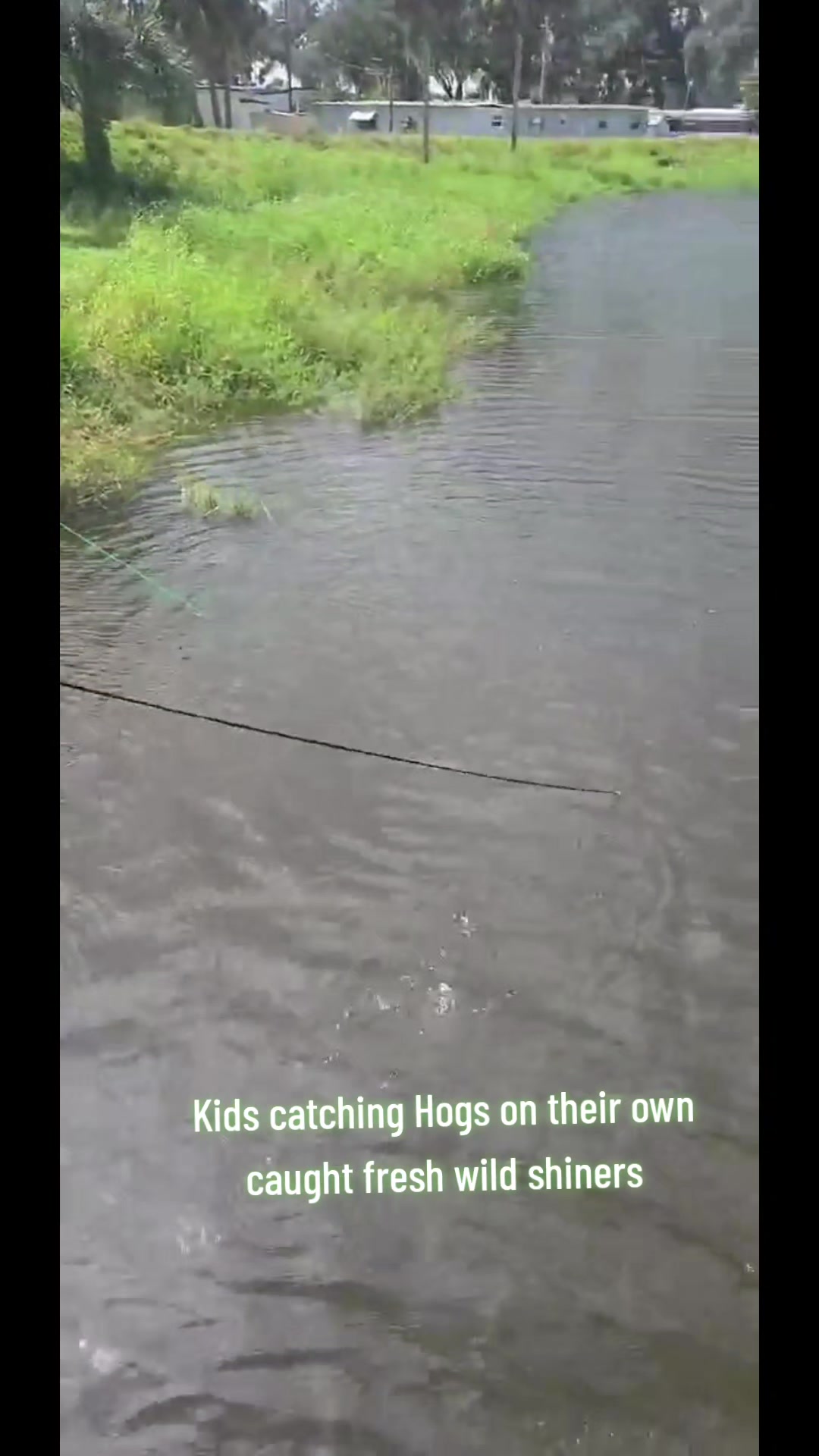 @Florida Fishing POV