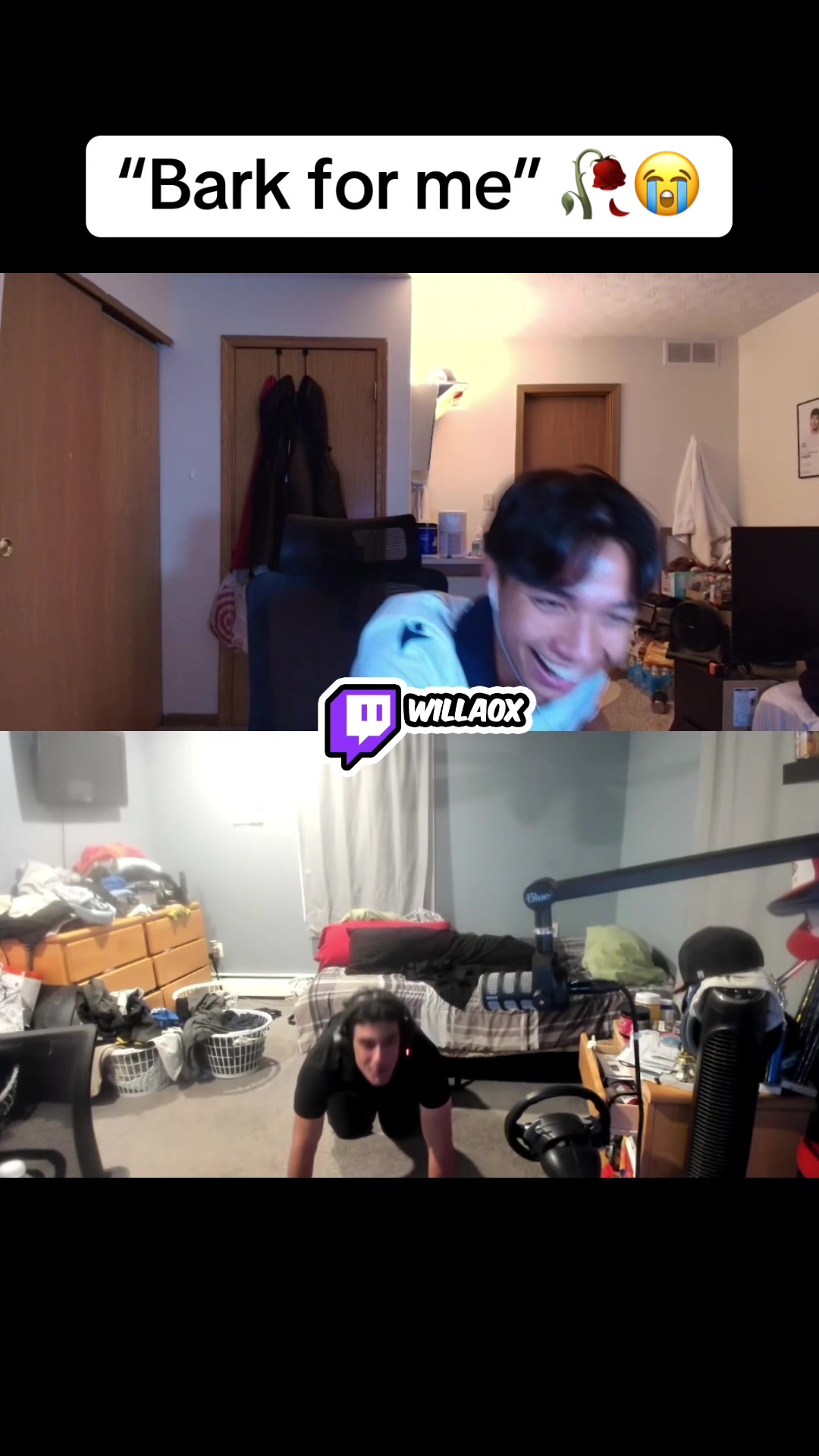 @willaox