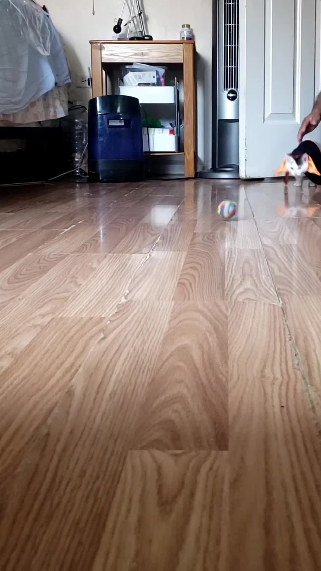 @yoggy18