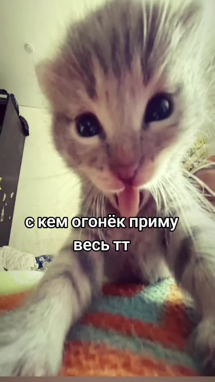 @❤️🍷Svetohka❤️🍷