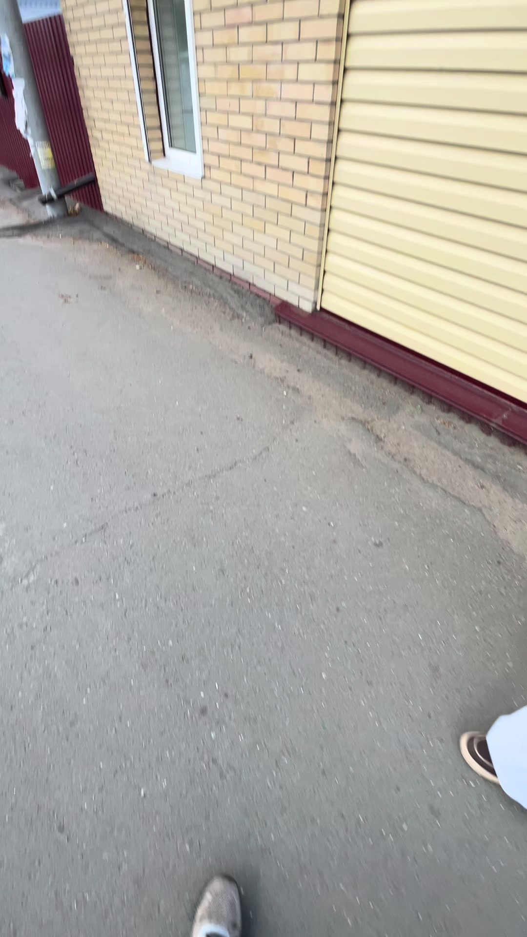 @Паучëк (Омск)🕷️
