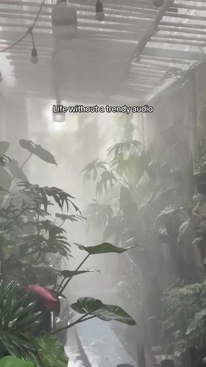 @T&uacute; Nhi - Let's play plant