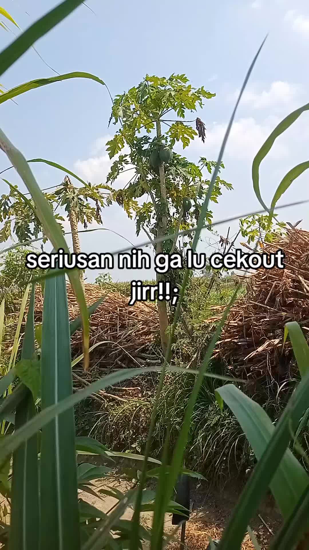 @smuabarang_ada