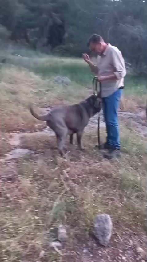 @Владимир