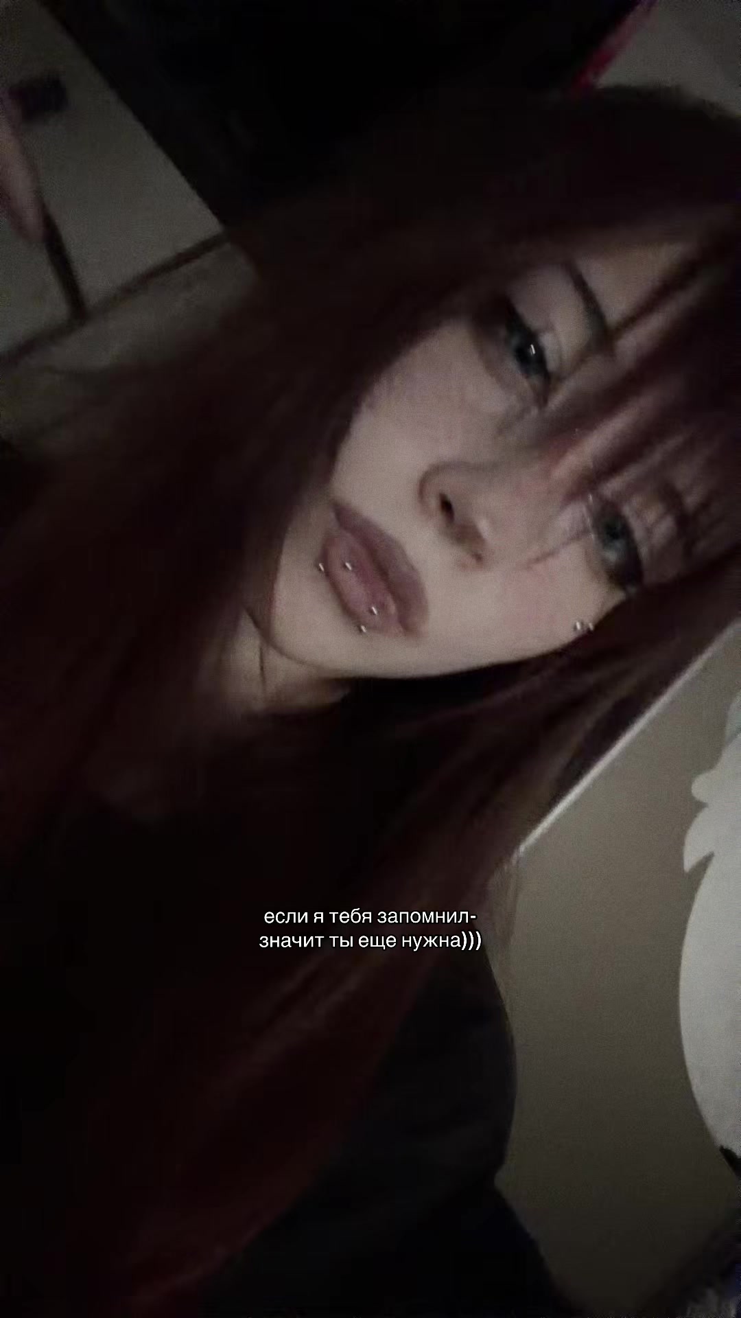 @мяукс