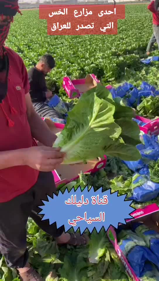 @قناة دليلك السياحي