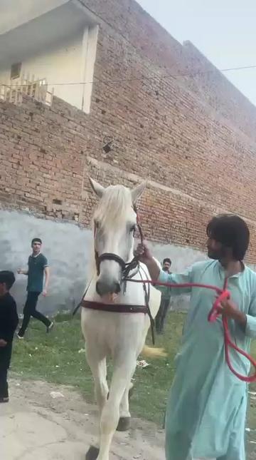 @Honey Khan