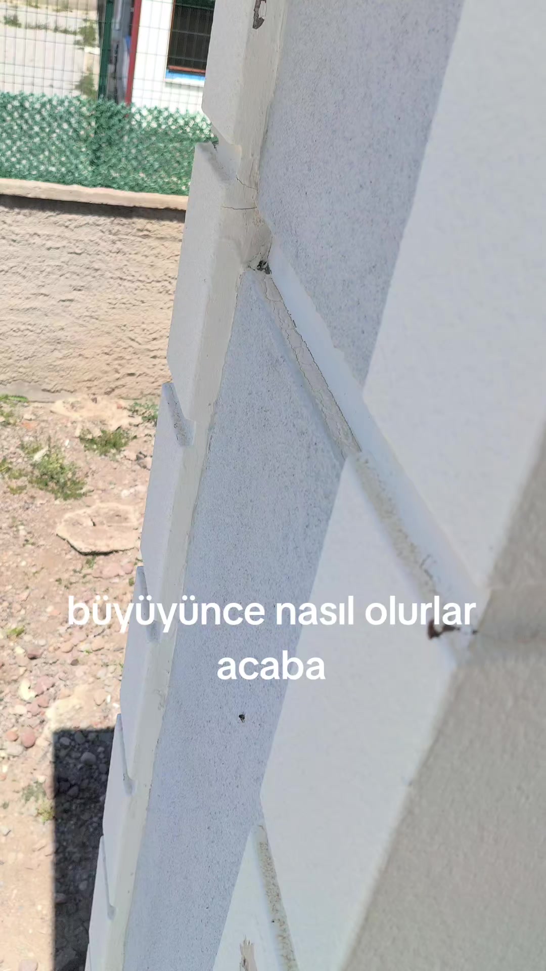 @🦅YUSUF@BİLEN🦅