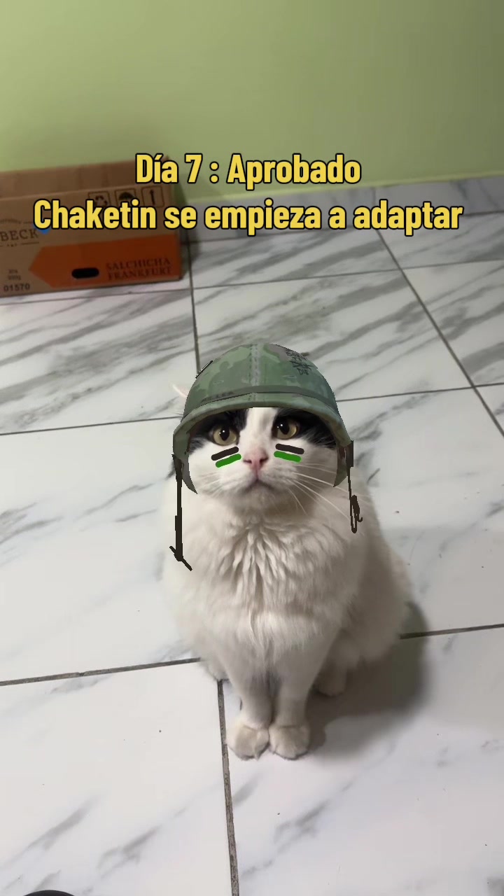 @pepe_el_gordillo