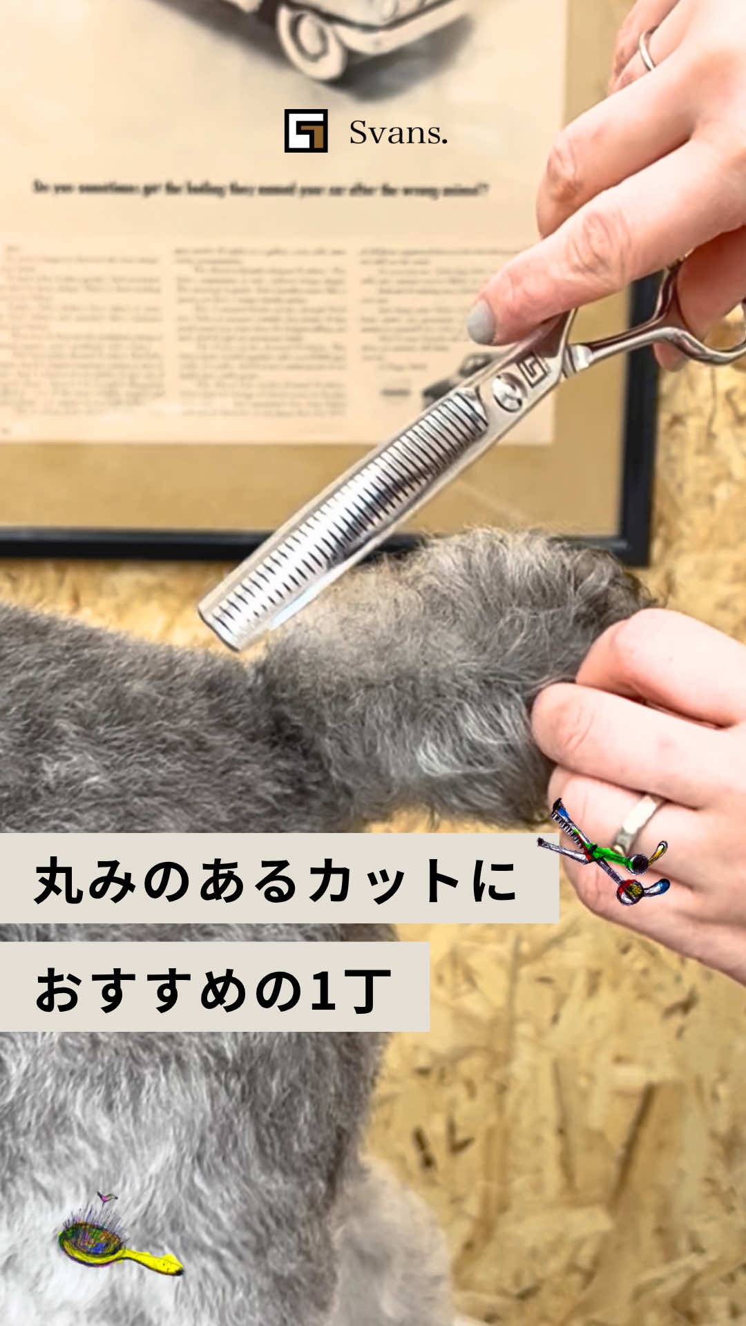 @Svans(スバンス)|トリマー向けシザー&バリカン専門