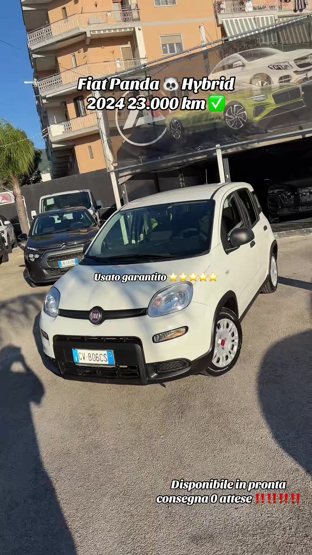 @AUTOIMMAGINE