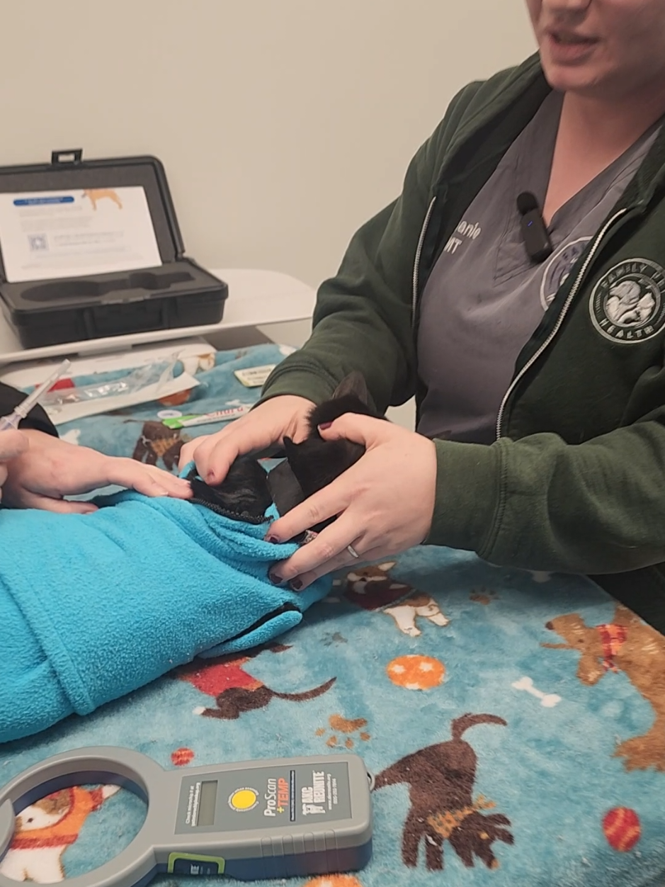 @familypethealth