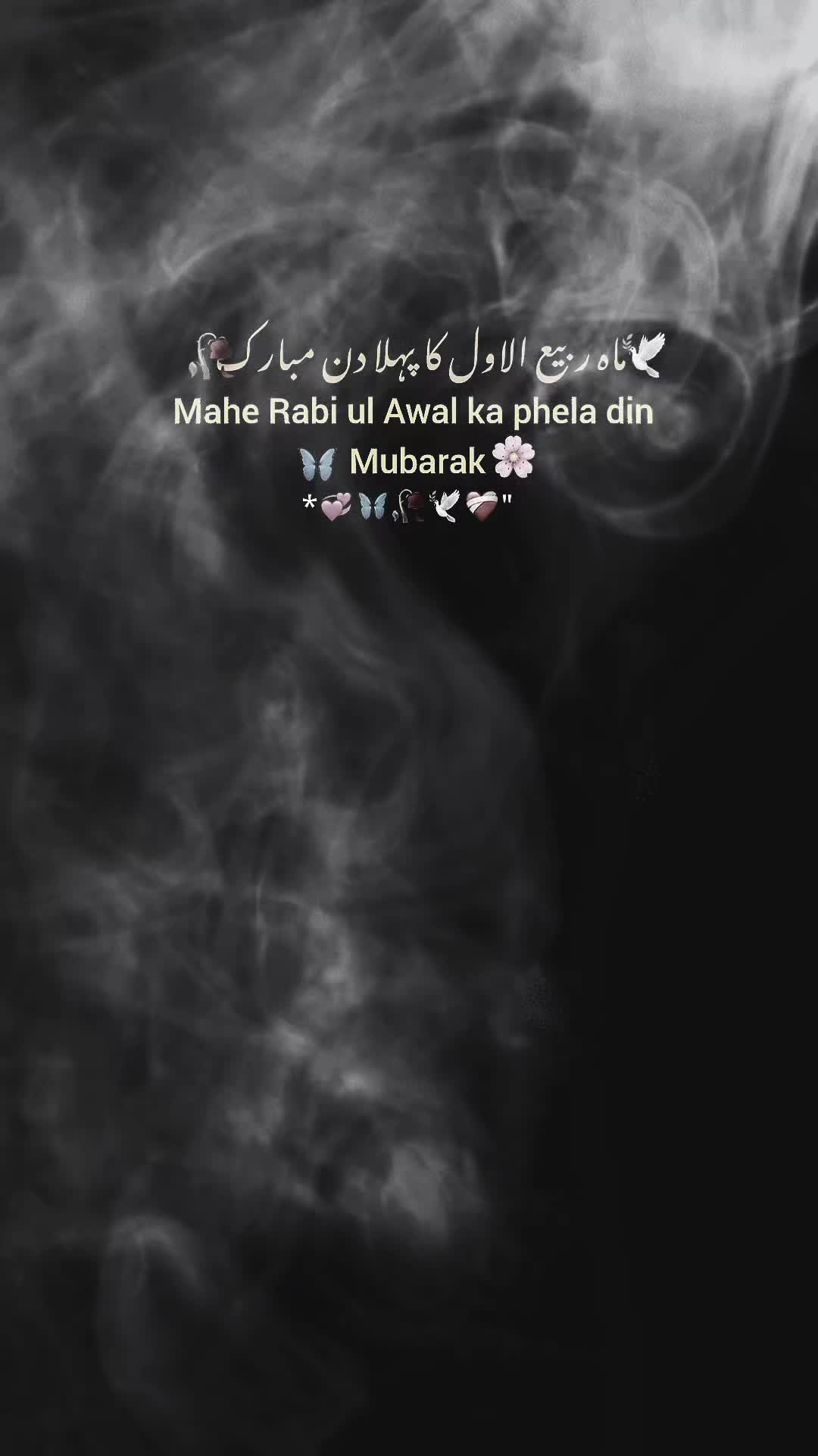 @Usama Tahir❤️🩹