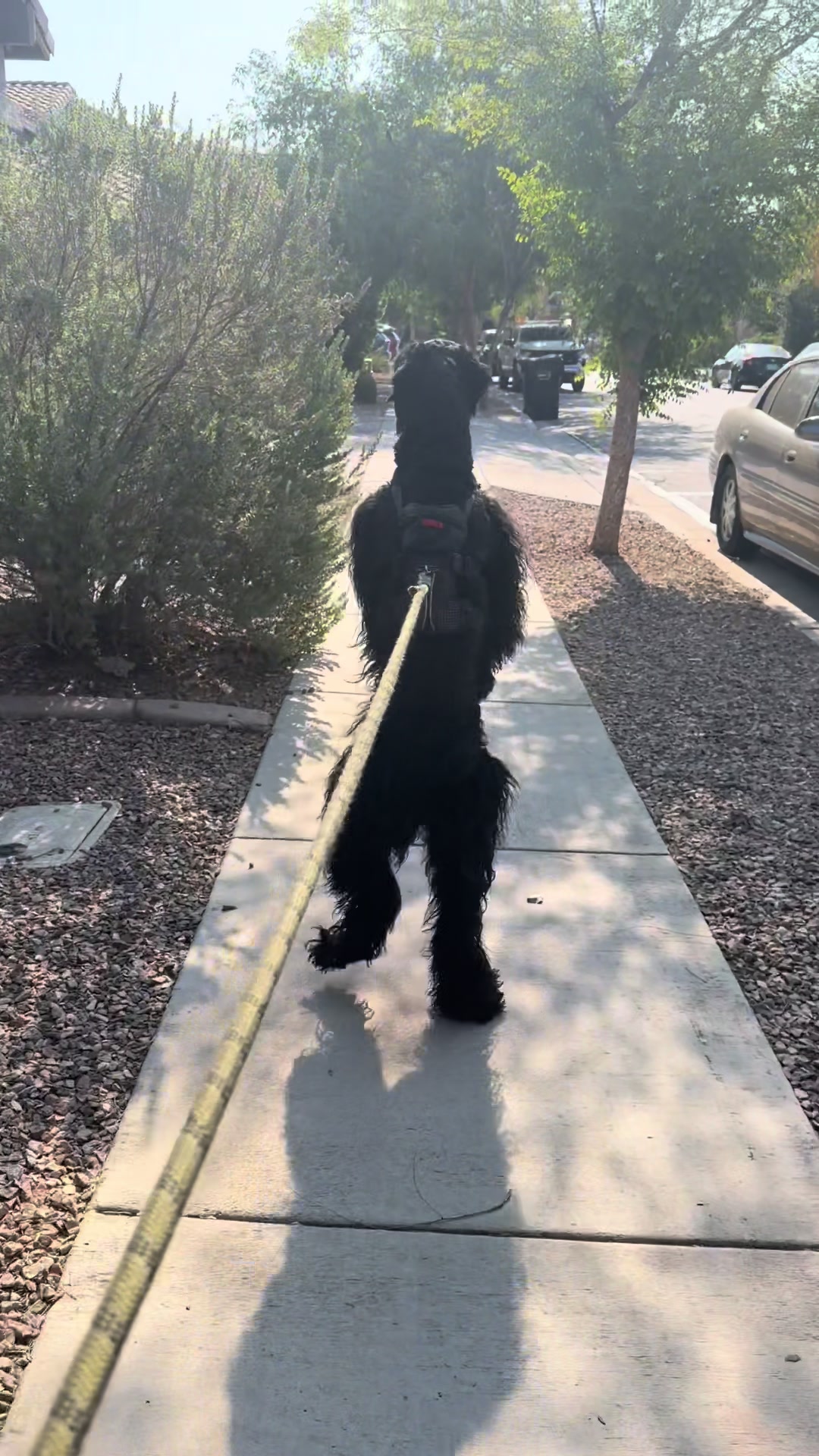 @Fiona Walks