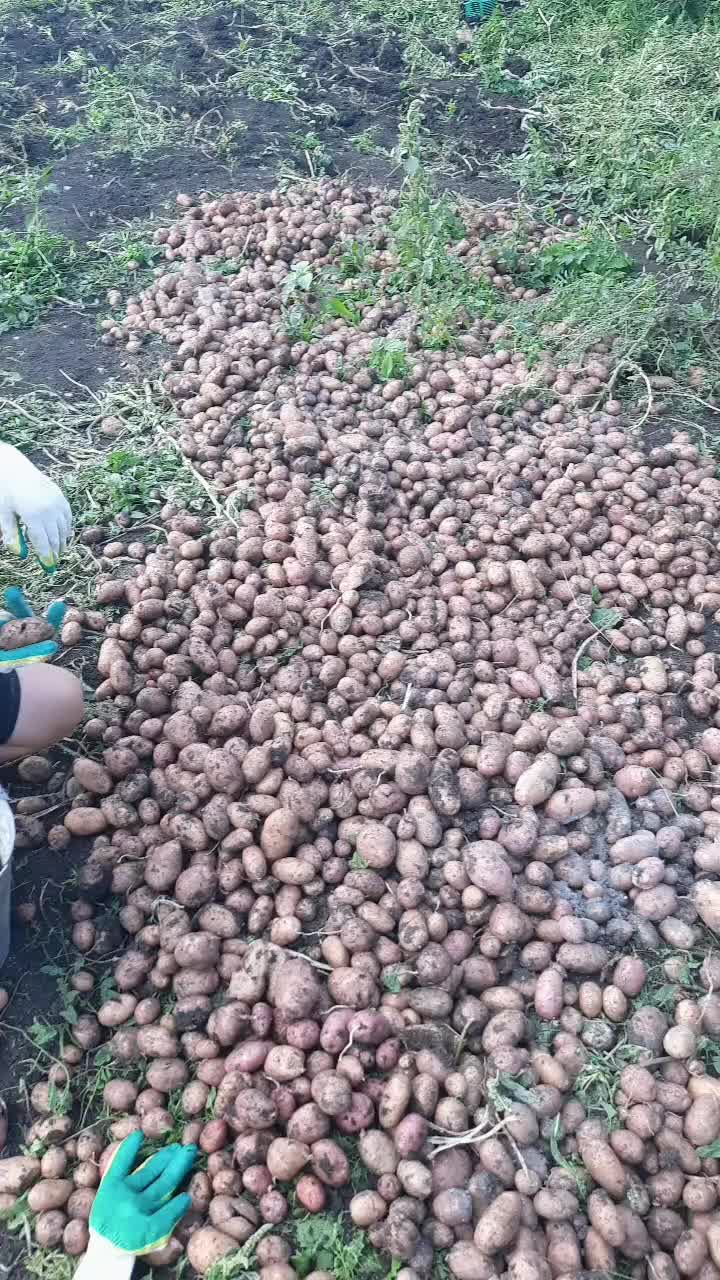 @Ляля