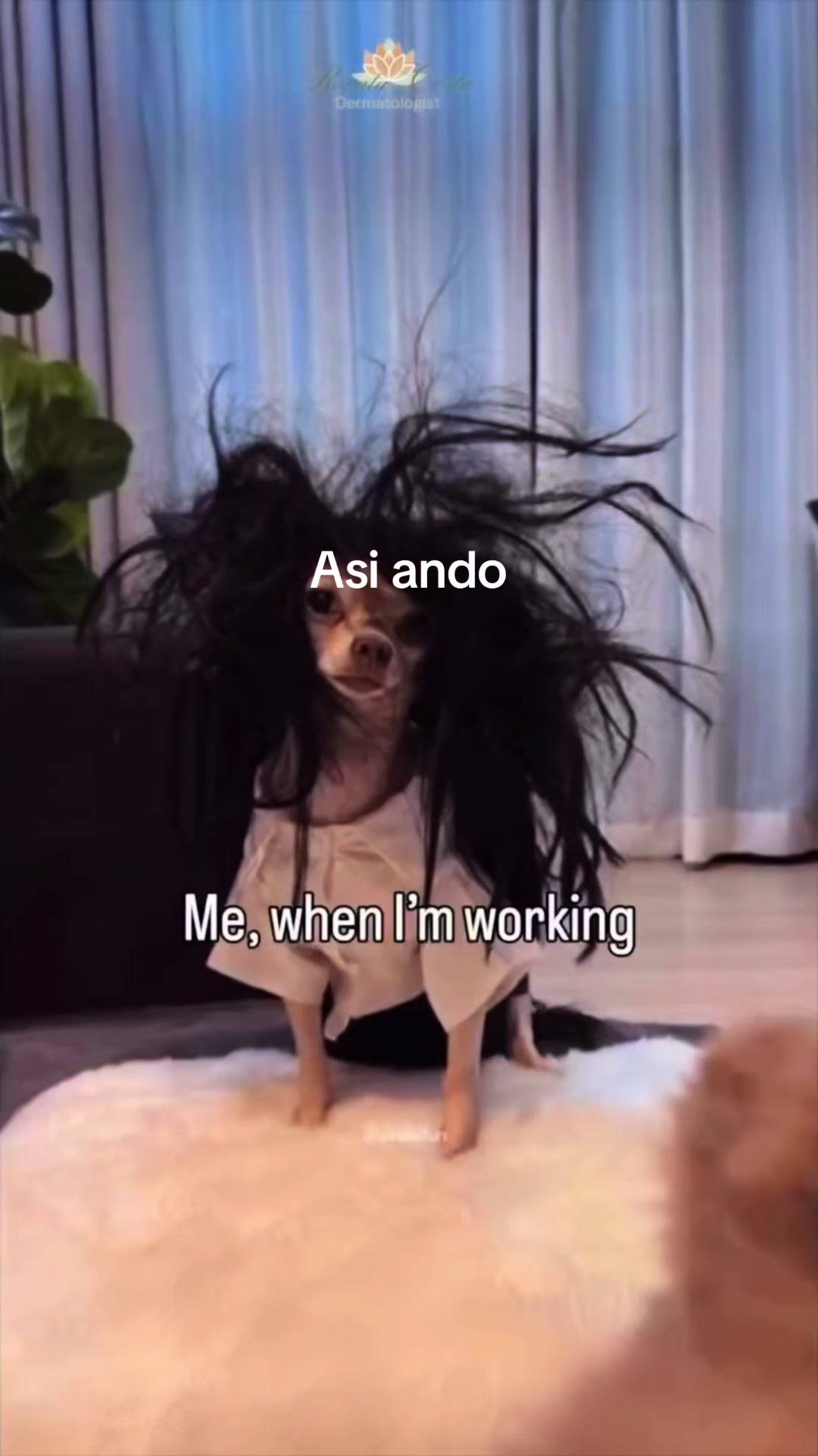 @Laura Sosa