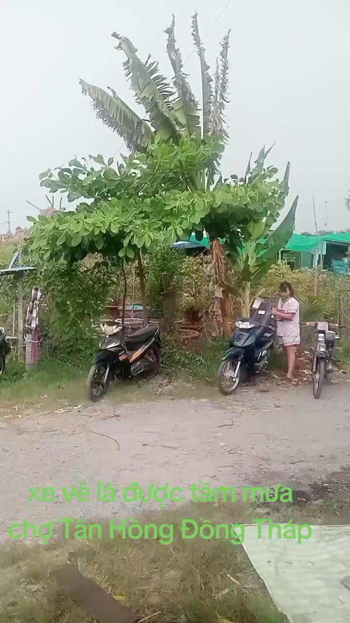 @CKP