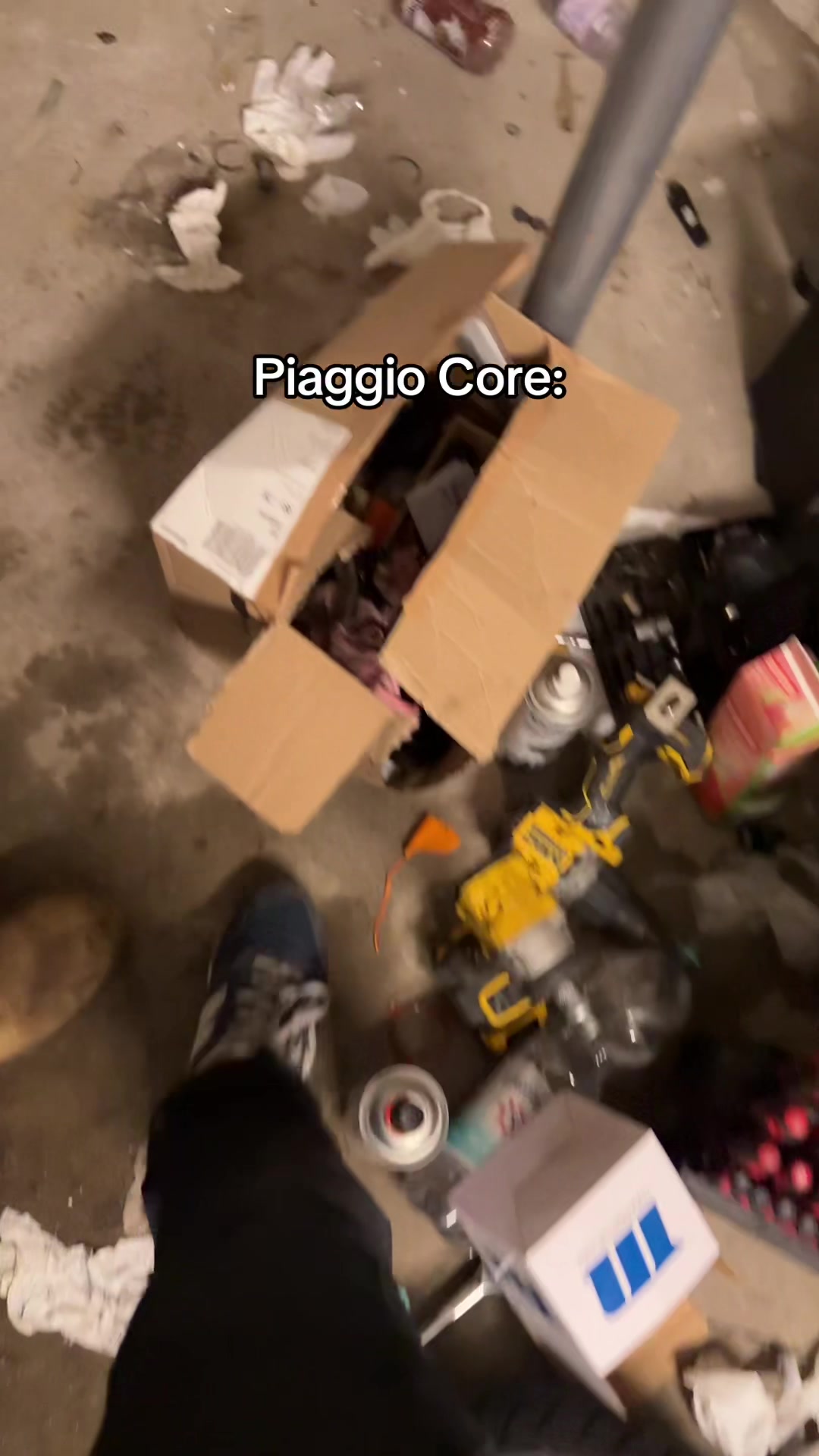 @igorexxt