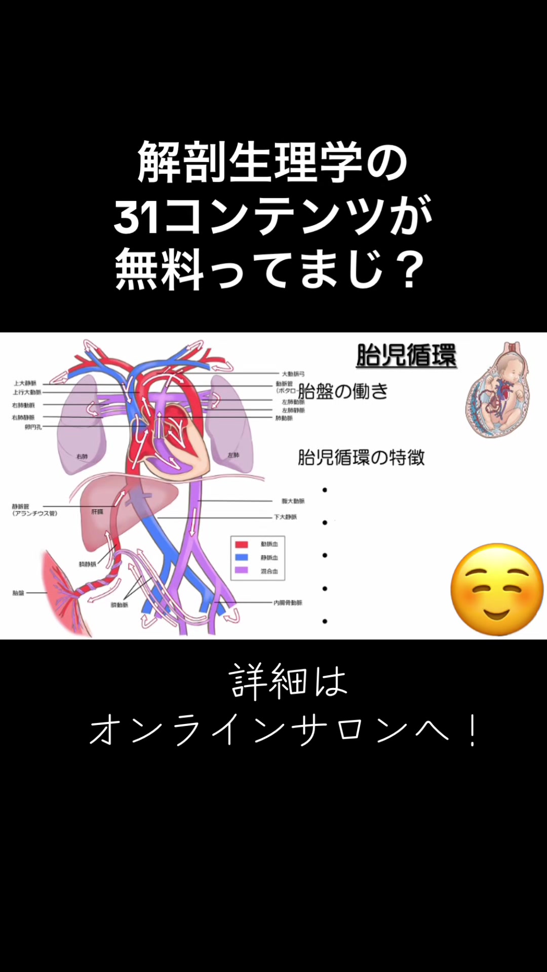 @第62回理学療法士国家試験(ネクストリハアカデミー)
