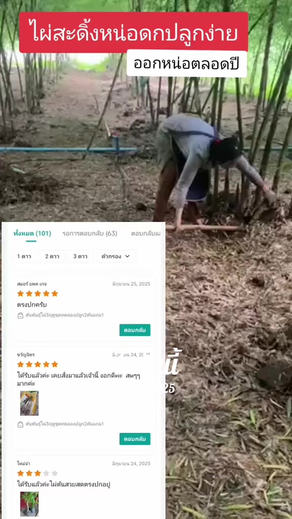 @นัดดาชอป