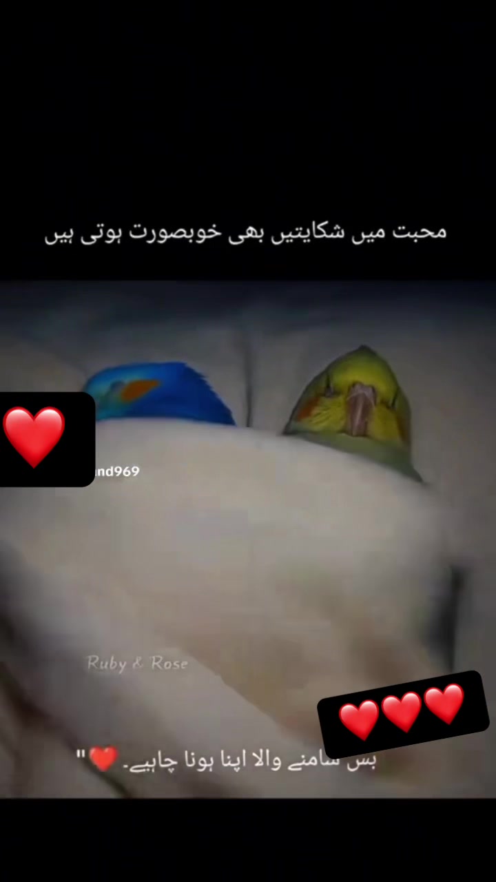 @❤️Saqi Kashmiri ❤️333