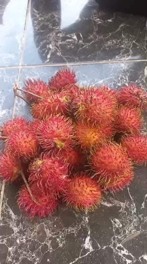 @😜AniAnot😜