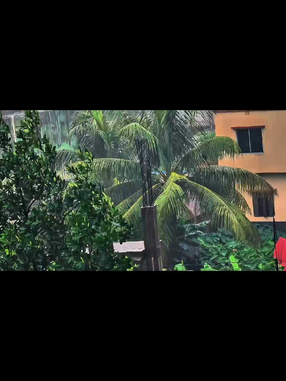 @Da'wah-দাওয়াহ