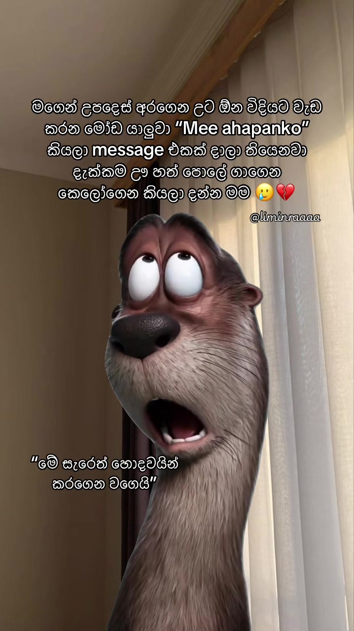 @Lisumi Jayawardana