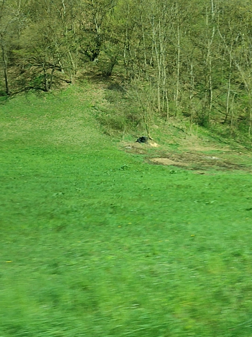 @Only Fools and Hikers