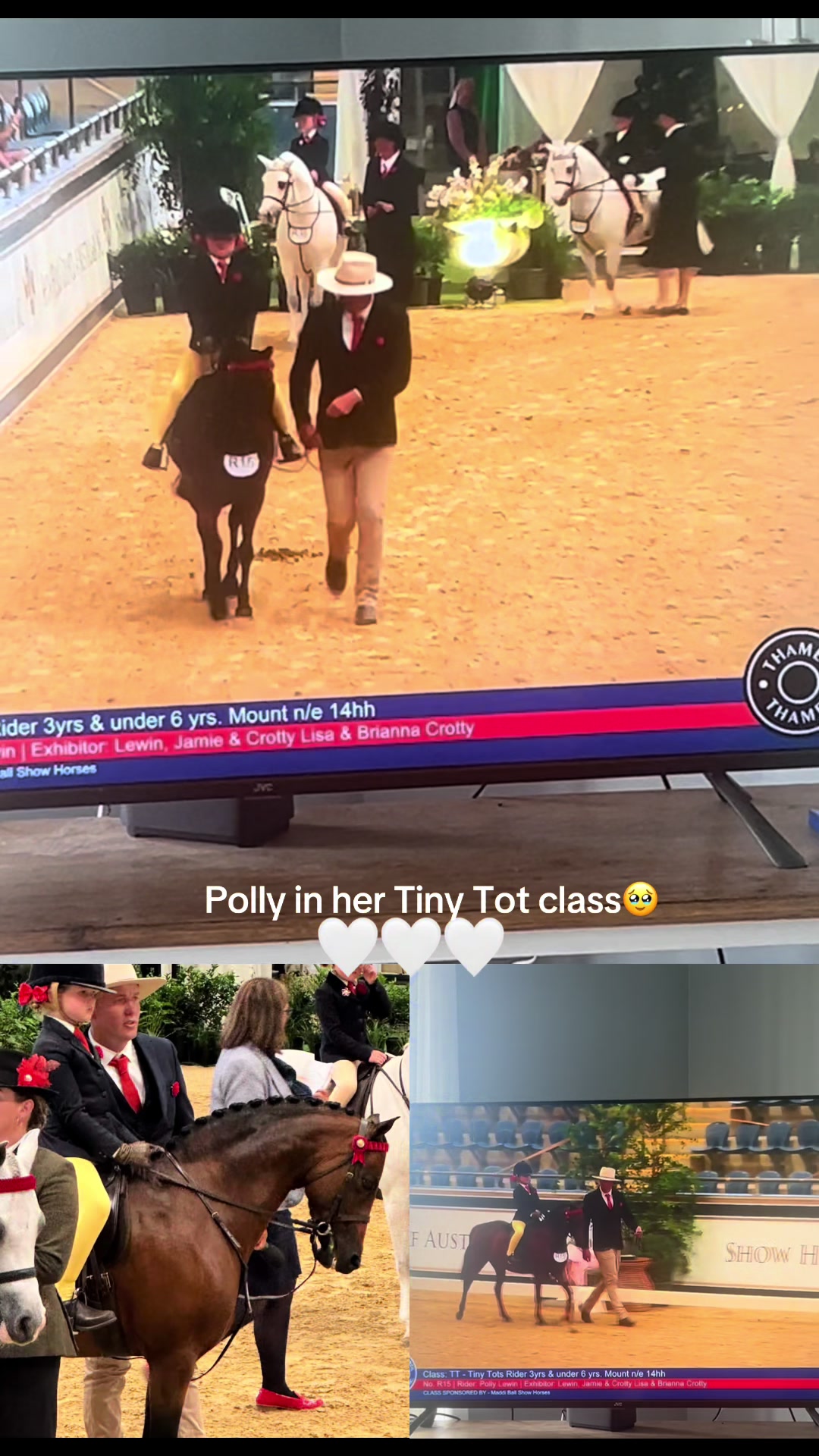 @RV Park Show Ponies