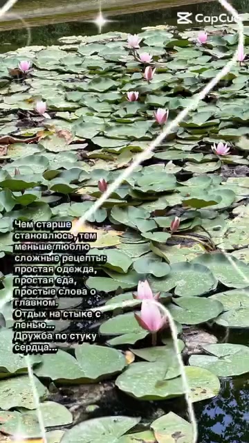@Жазира