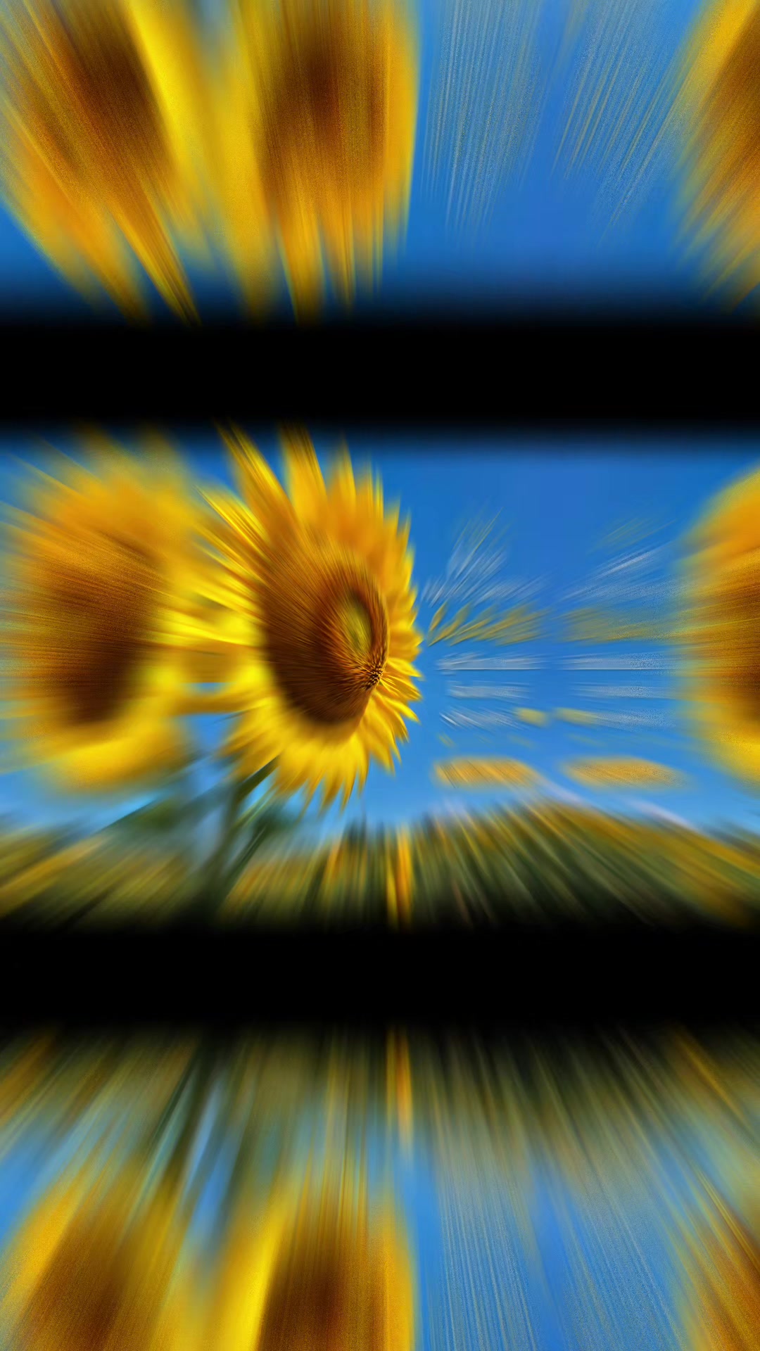 @&Alpha;l&iota;s&iota;&alpha;&sup2;&sup3;✨️🌙