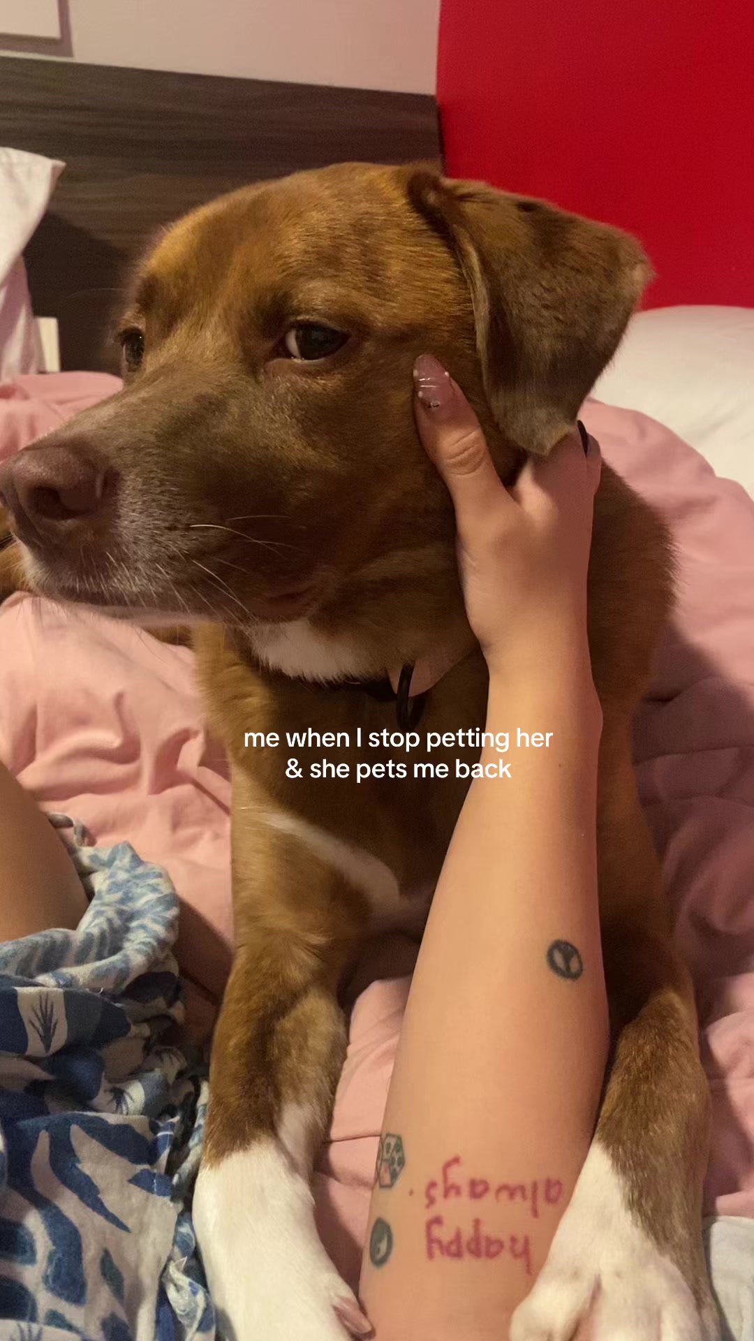 @💖