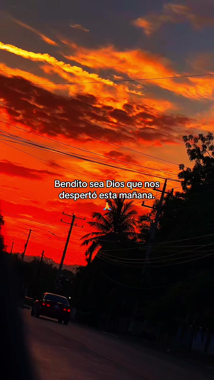 @๐ฅ๐
La naturaleza ๐๐