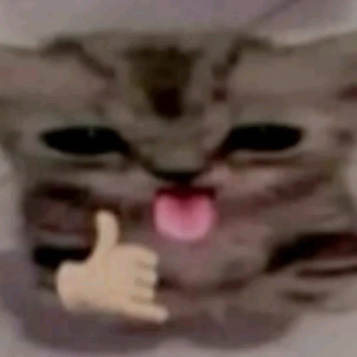 @'kuw🪽