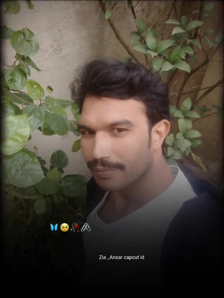 @Amir Manzur355