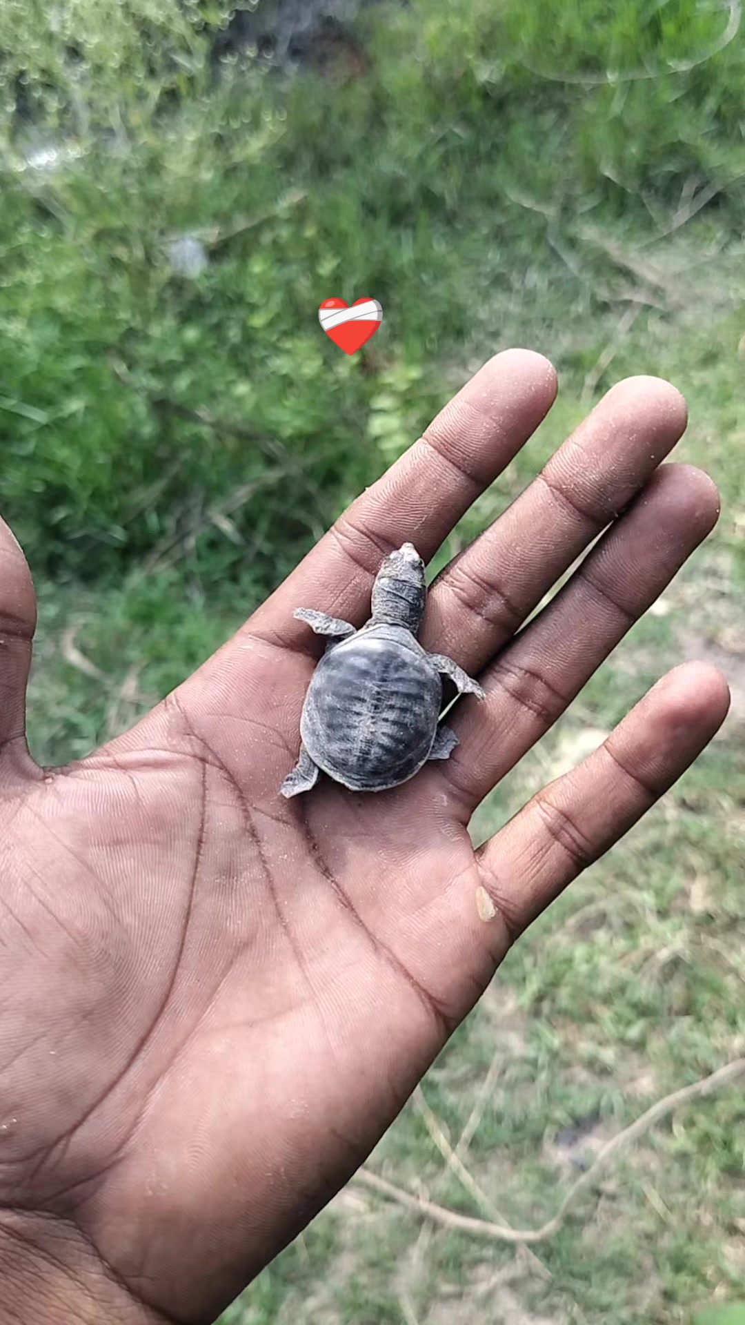 @बदमाश अहिर 🦋🦋