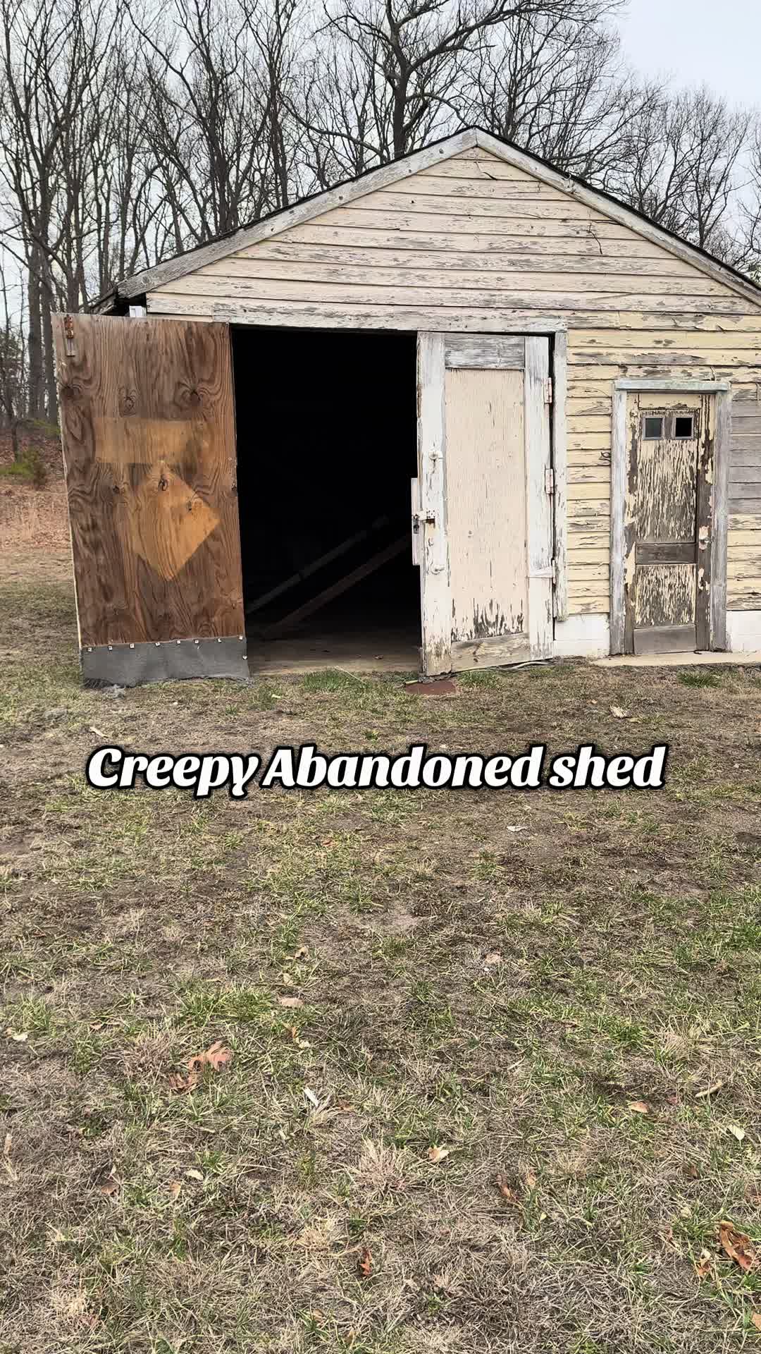 @antbartelli