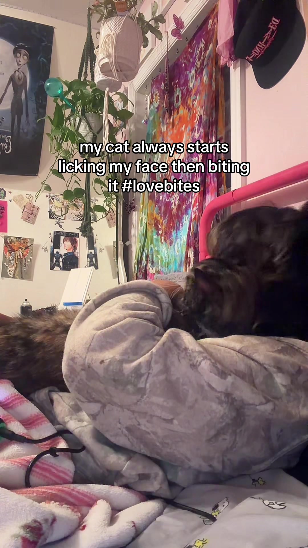 @bellaabones