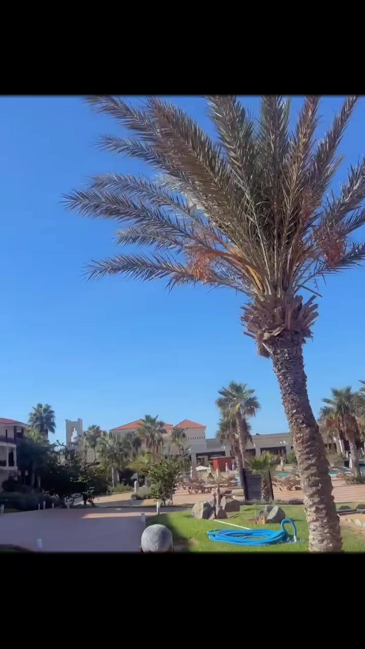 @KD1🌈
