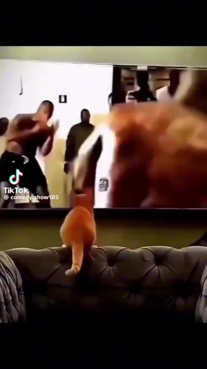 @1bleach7
