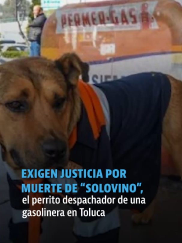 @elheraldodemexico