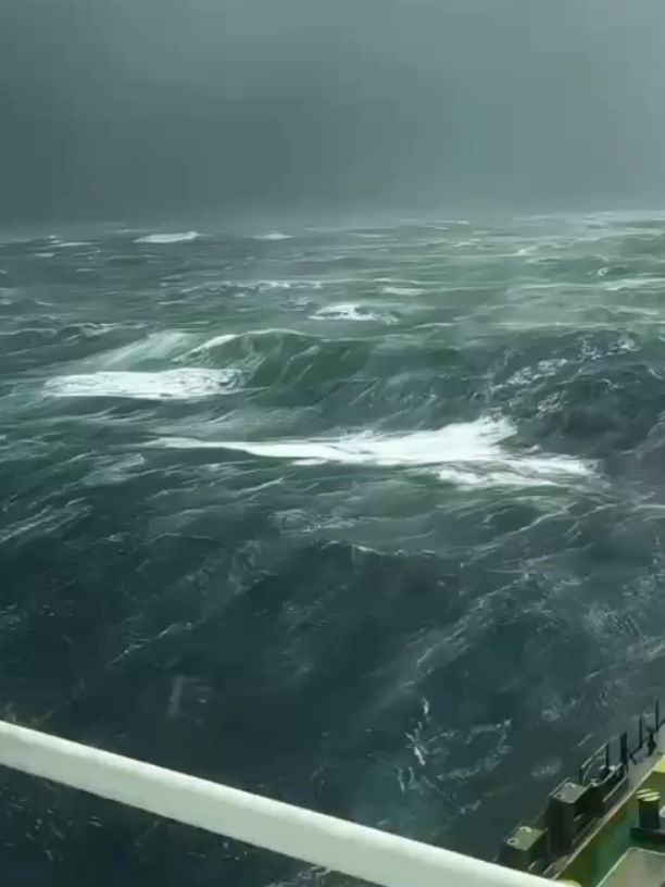 @north sea14