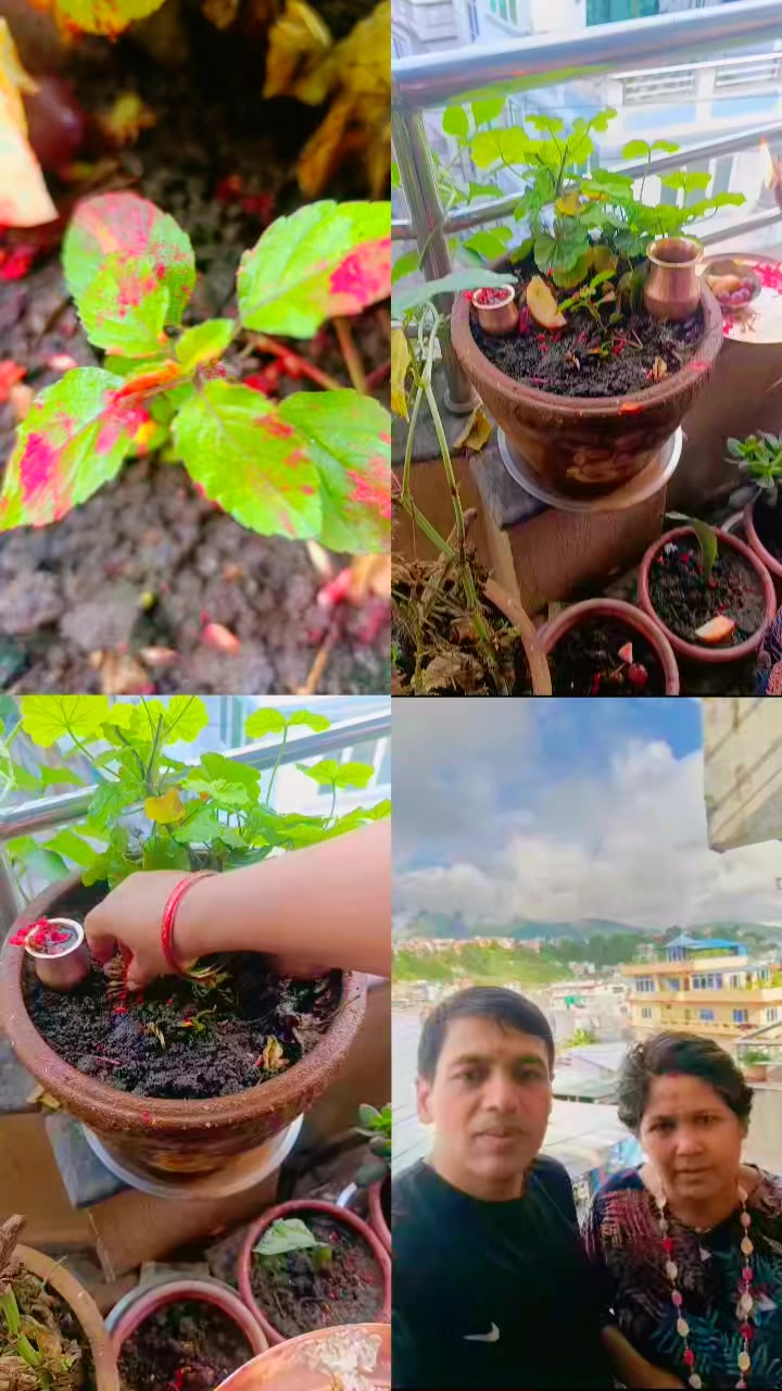 @माधव Dangol