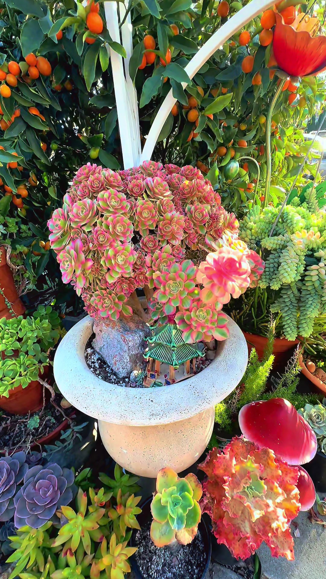 @euphoriablooms