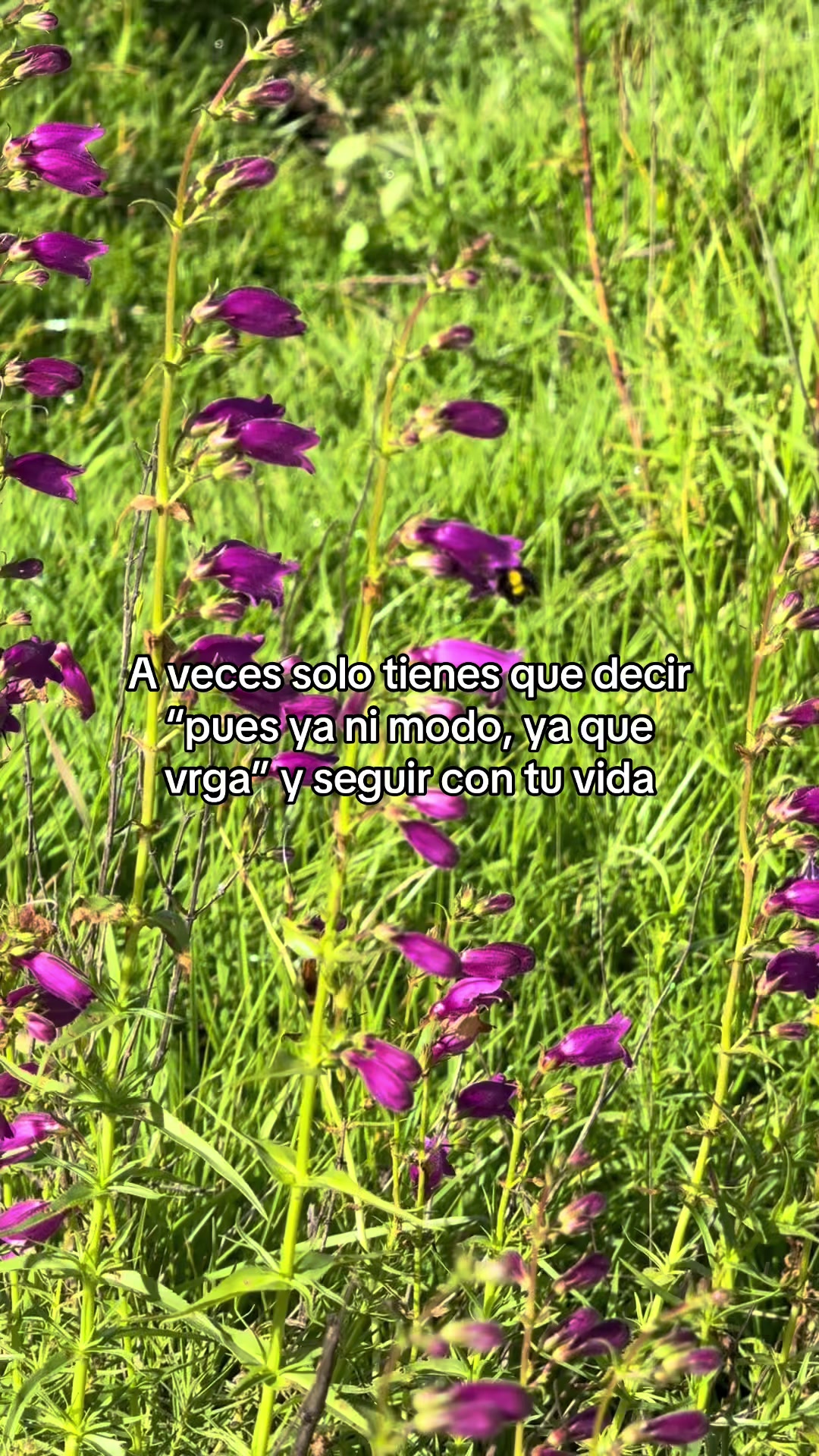 @Alexis Perales